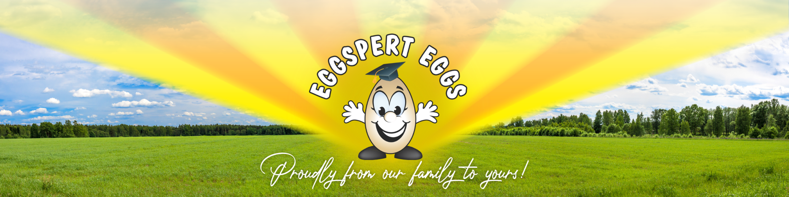 Eggspert Eggs CC showcase 1